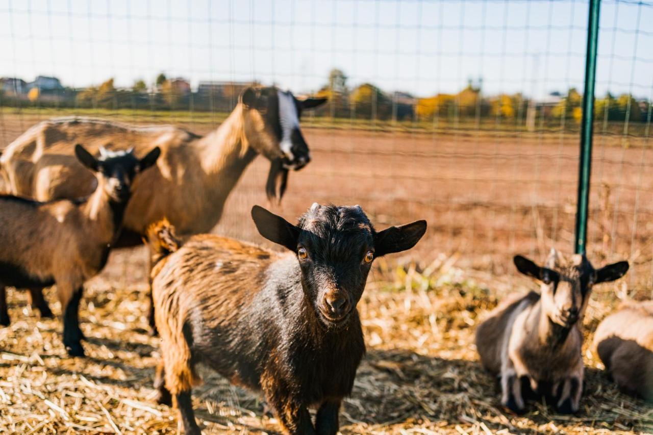 La Tenuta di Santo Stefano - Agri Resort Fossano Esterno foto